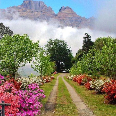 Вилла Emafweni Champagne Valley Экстерьер фото