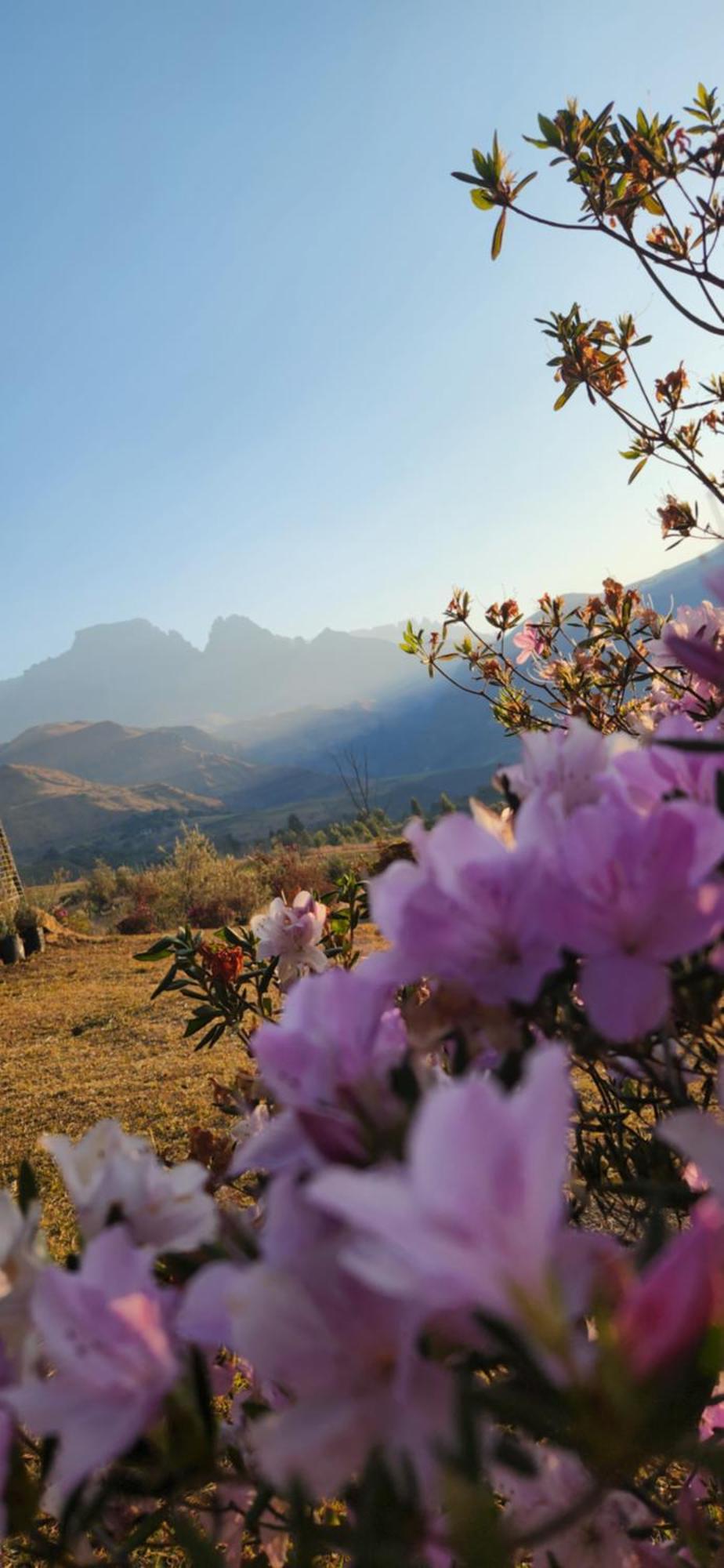 Вилла Emafweni Champagne Valley Экстерьер фото