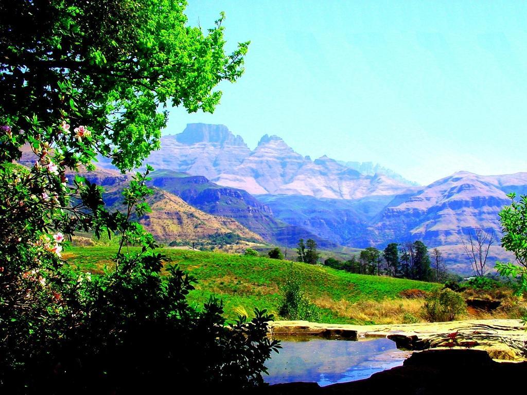 Вилла Emafweni Champagne Valley Экстерьер фото