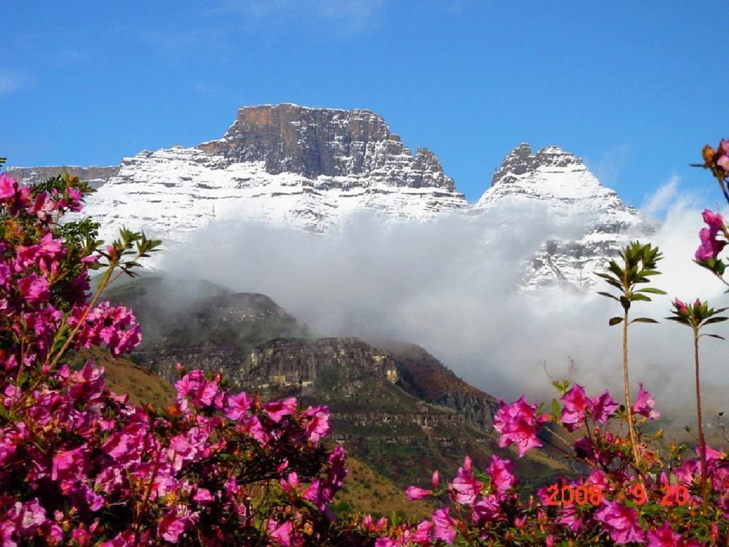 Вилла Emafweni Champagne Valley Экстерьер фото