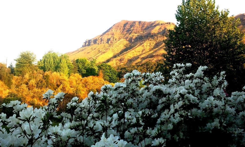 Вилла Emafweni Champagne Valley Экстерьер фото