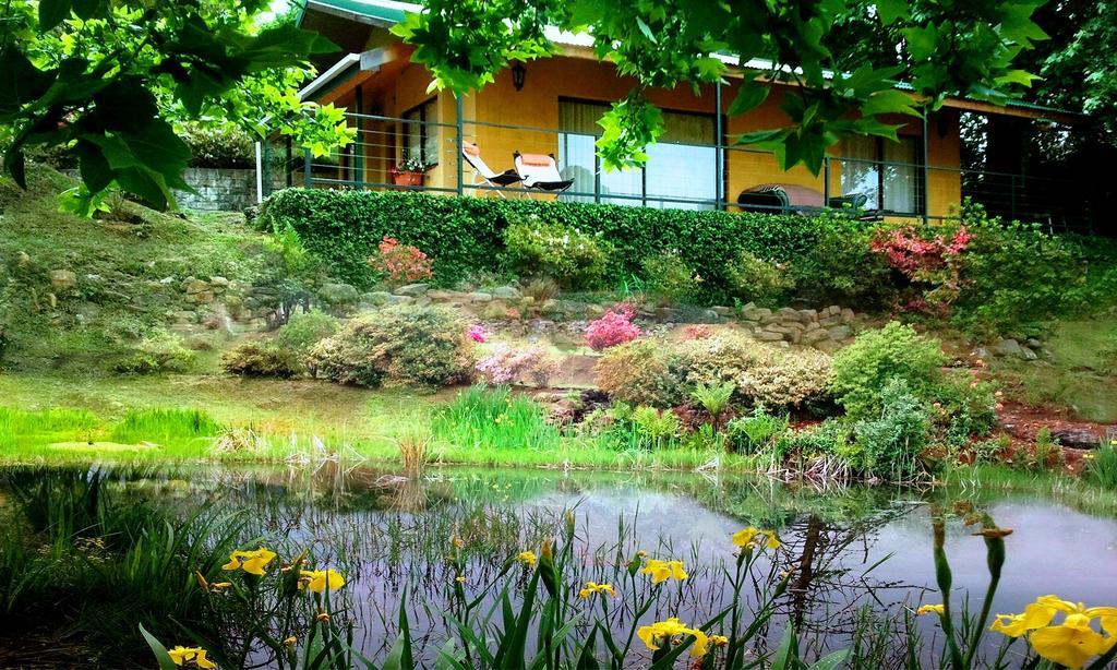 Вилла Emafweni Champagne Valley Номер фото