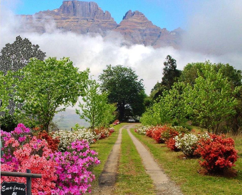Вилла Emafweni Champagne Valley Экстерьер фото