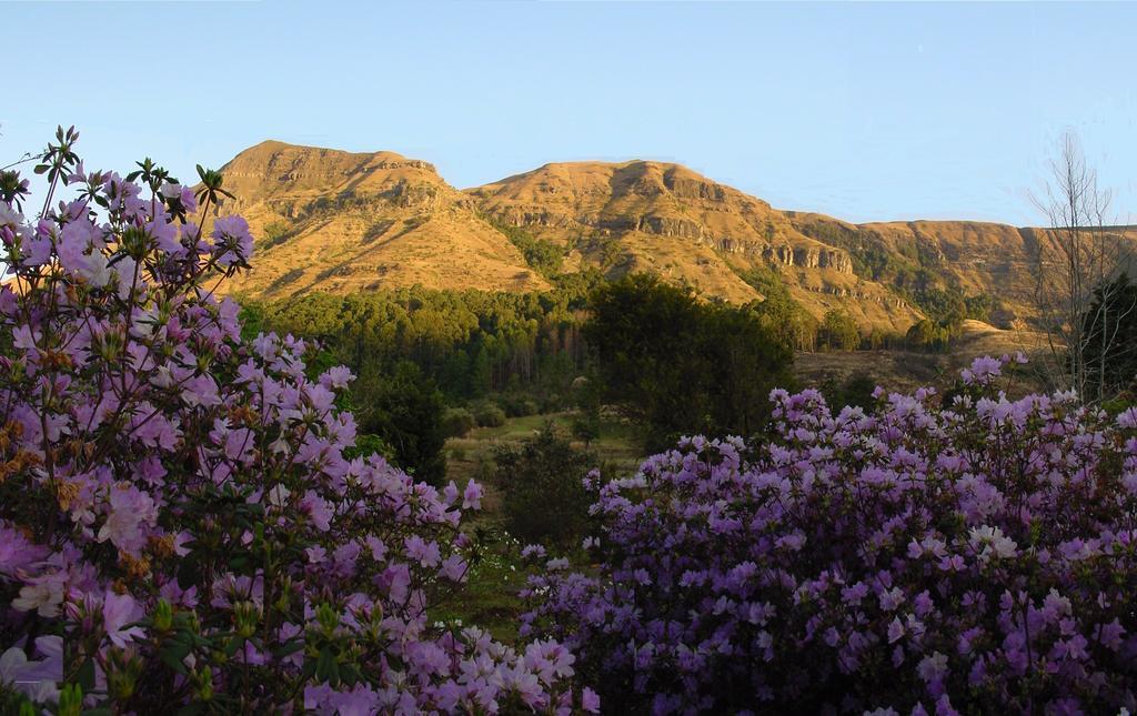 Вилла Emafweni Champagne Valley Экстерьер фото